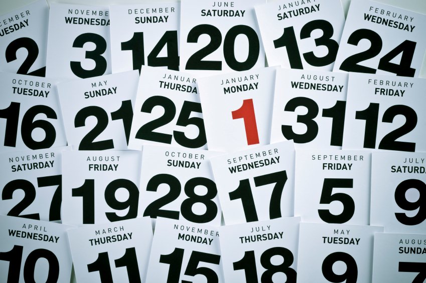 A year of Lost In Thought